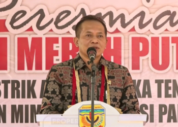 Menkop RI Dorong Pusat Distribusi BUMD di Papua Tengah, Bidik Sumber PAD Baru