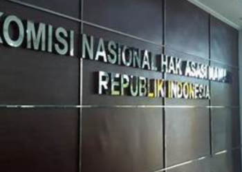 Komnas HAM Resmi Nyatakan 12 Warga Sipil Tewas dalam Kontak Tembak TNI-OPM di Puncak