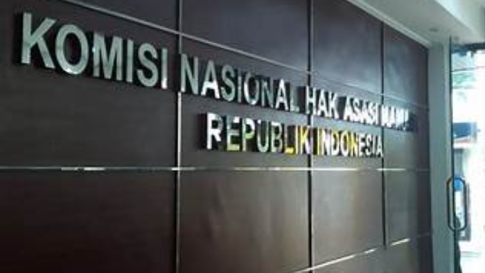 Komnas HAM Resmi Nyatakan 12 Warga Sipil Tewas dalam Kontak Tembak TNI-OPM di Puncak