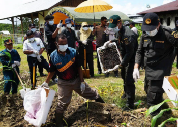 Karantina Papua Musnahkan 4,19 Ton Komoditas asal Surabaya Tak Layak Konsumsi