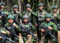 Dua Ladang Ganja Siap Panen Ditemukan di Distrik Oksibil, Pangkogabwilhan III: Diduga Milik OPM