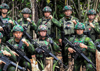 Dua Ladang Ganja Siap Panen Ditemukan di Distrik Oksibil, Pangkogabwilhan III: Diduga Milik OPM