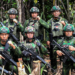 Dua Ladang Ganja Siap Panen Ditemukan di Distrik Oksibil, Pangkogabwilhan III: Diduga Milik OPM
