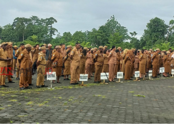 Serapan APBD Mimika Masih 11,38 Persen, Marthen Mallisa Akui Realisasi Anggaran Lambat