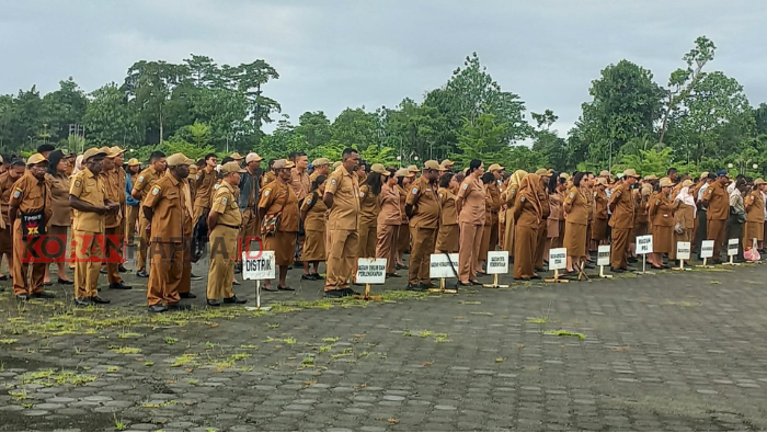 Serapan APBD Mimika Masih 11,38 Persen, Marthen Mallisa Akui Realisasi Anggaran Lambat