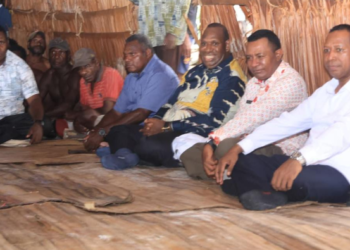 Pemprov Papua Selatan Segera Tindak Lanjuti Aspirasi Pemekaran Kabupaten