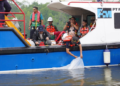 Freeport Indonesia Lepaskan 10.000 Bibit Baramundi dan 1.000 Kepiting Bakau di Pesisir Mimika