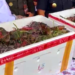Komoditas Unggulan Mimika, Ratusan Kilogram Kepiting Bakau Diekspor ke Malaysia