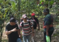 Fakfak Berbenah Sambut Perayaan 132 Tahun Misi Katolik di Tanah Papua