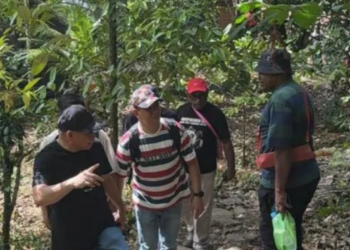 Fakfak Berbenah Sambut Perayaan 132 Tahun Misi Katolik di Tanah Papua