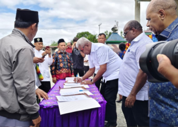 Dukung Kebutuhan Daging Kurban, Pemprov Papua Tengah dan Pemkab Mimika Serahkan 66 Ekor Sapi