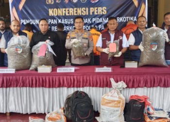 Polda Papua Gagalkan Peredaran Puluhan Kilogram Ganja Jaringan Internasional, Libatkan WNA