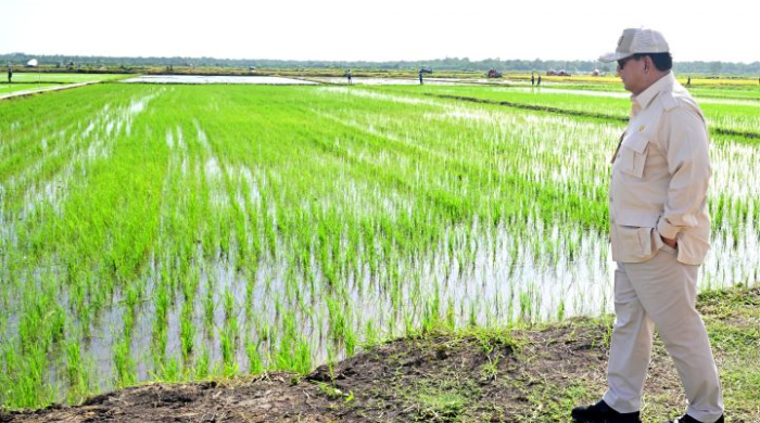 Terlanjur Gelontorkan Rp5,5 T, Program Pertanian di Wilayah Papua Dilanjutkan