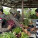 Senyum Mama Papua dan Polwan Satgas ODC-2026 di Balik Ramainya Pasar Keyabi