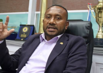 Tangani Persoalan Papua, Yan Permenas Soroti Kinerja Kementerian HAM