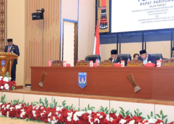 Menyusun Program Pembangunan, Pemprov Papua Selatan Diminta untuk Memperhatikan Koreksi Dewan