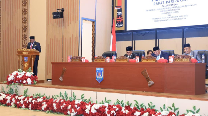 Menyusun Program Pembangunan, Pemprov Papua Selatan Diminta untuk Memperhatikan Koreksi Dewan