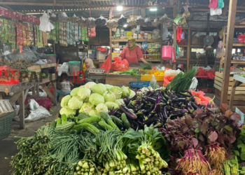 Harga Sayuran di Pasar Sentral Timika Masih Tinggi, Pedagang Keluhkan Daya Beli Masyarakat Menurun