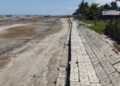 Abrasi Ancam Pesisir Merauke, Garis Pantai Bergeser Sekitar 100 Meter