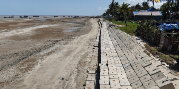 Abrasi Ancam Pesisir Merauke, Garis Pantai Bergeser Sekitar 100 Meter