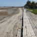 Abrasi Ancam Pesisir Merauke, Garis Pantai Bergeser Sekitar 100 Meter
