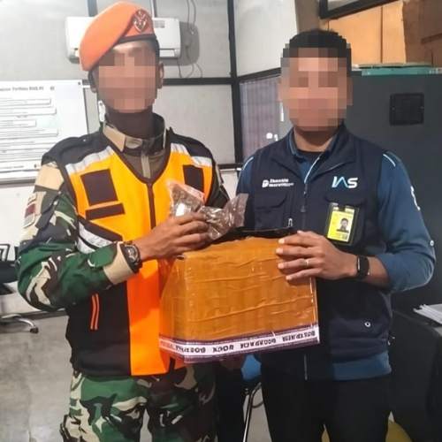 Satgas Pasgat Gagalkan Penyelundupan 671 Gram Narkotika Jenis Ganja di Bandara Sentani