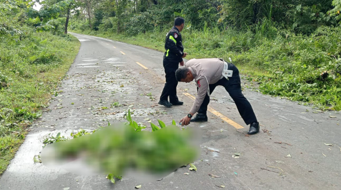 Pengendara Motor di Timika Tewas, Diduga Korban Tabrak Lari