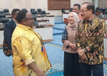 Investigasi Tailing Freeport, Komisi IV DPR RI akan Turun Langsung ke Timika