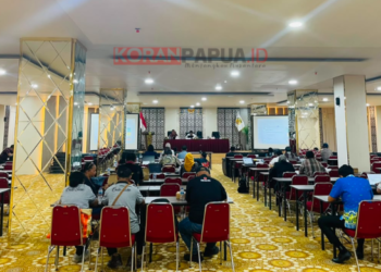 Kemenkeu Evaluasi Penggunaan Dana Ratusan Miliar di Mimika, Fokus pada Layanan Kesehatan dan Infrastruktur