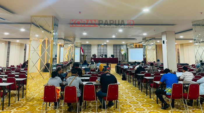 Kemenkeu Evaluasi Penggunaan Dana Ratusan Miliar di Mimika, Fokus pada Layanan Kesehatan dan Infrastruktur