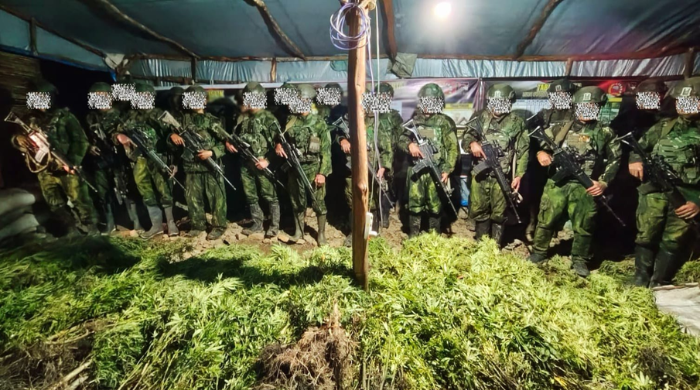 Satgas TNI Temukan 5.000 Batang Ganja di Dua Lokasi di Yahukimo