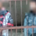 Kecelakaan Maut SP 9 Mimika, Polisi Amankan Dua Trailer dan Periksa Pengemudinya