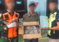 Satgas Pasgat Kembali Gagalkan 725 Gram Ganja di Kargo Bandara Sentani