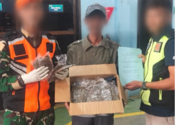 Satgas Pasgat Kembali Gagalkan 725 Gram Ganja di Kargo Bandara Sentani