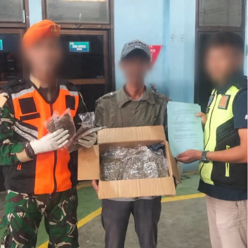Satgas Pasgat Kembali Gagalkan 725 Gram Ganja di Kargo Bandara Sentani