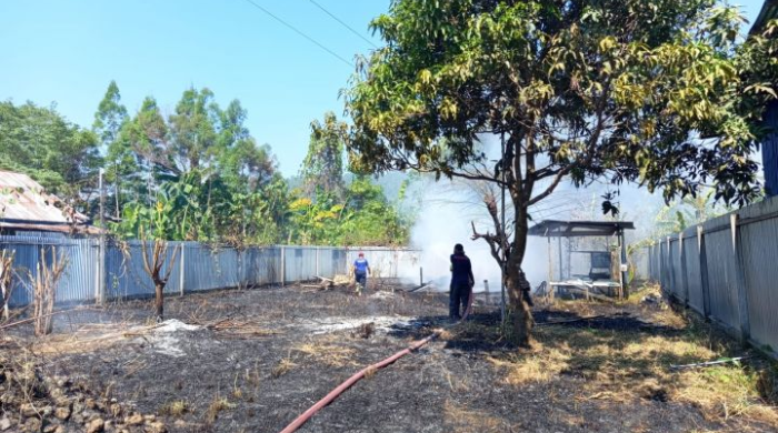 Karhutla di Papua Tengah Capai 396 Hektare, Kabupaten Nabire Terjadi di Tujuh Distrik