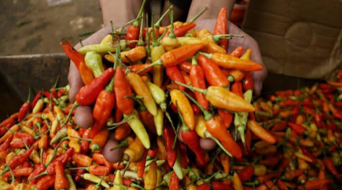 Harga Cabai di Pasar Sentral Timika Turun Rp25.000 per Kilogram