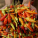 Harga Cabai di Pasar Sentral Timika Turun Rp25.000 per Kilogram