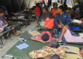 Kepala SPPG Papua Dicopot Buntut Kasus Keracunan Makanan Bergizi Gratis 