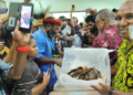 Setelah Menunggu Tiga Tahun, Akhirnya Ribuan Artefak Asal Papua di Amerika dikembalikan