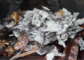 Tidak Dilengkapi Dokumen, Belasan Kilogram Daging Kerbau Asap dan Reptil Dimusnahkan