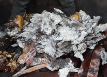 Tidak Dilengkapi Dokumen, Belasan Kilogram Daging Kerbau Asap dan Reptil Dimusnahkan