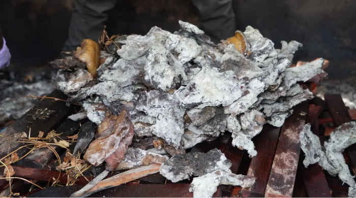 Tidak Dilengkapi Dokumen, Belasan Kilogram Daging Kerbau Asap dan Reptil Dimusnahkan