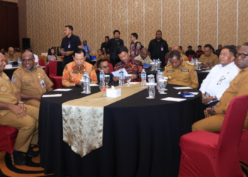 Evaluasi Tiga Tahun Pembangunan di Provinsi Papua Selatan, Gubernur Apolo: Seluruh OPD Diminta Siapkan Data