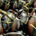 Kepiting Bakau Dongkrak Nilai Ekspor Papua Tengah, Naik 41,67 Persen