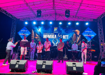 Tekan Kematian Ibu dan Bayi, Dinkes Mimika Libatkan Masyarakat Mimika Timur Kenali Kehamilan Berisiko