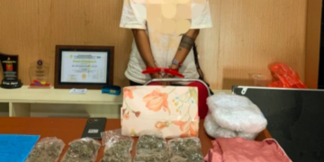 Terima Paket dari Jayapura, IRT di Timika Ditangkap Bawa 10 Paket Ganja