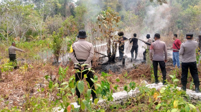 Dua Titik Kebakaran Lahan Terjadi di Yendidori Biak, Polisi Turunkan Water Cannon