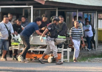 Polisi Beberkan Kronologi Penembakan Tiga Pegawai Dinas Pertanian di Jayawijaya