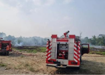 Kebakaran Lahan di Belakang DLH Mimika, BPBD Kerahkan Dua Armada
